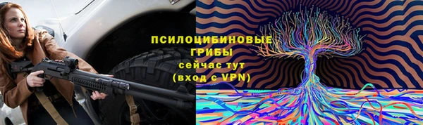 сатива Алексин