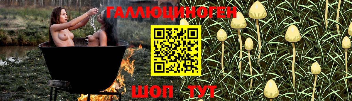 Кимры  Псилоцибиновые грибы Psilocybe  Вход с VPN 